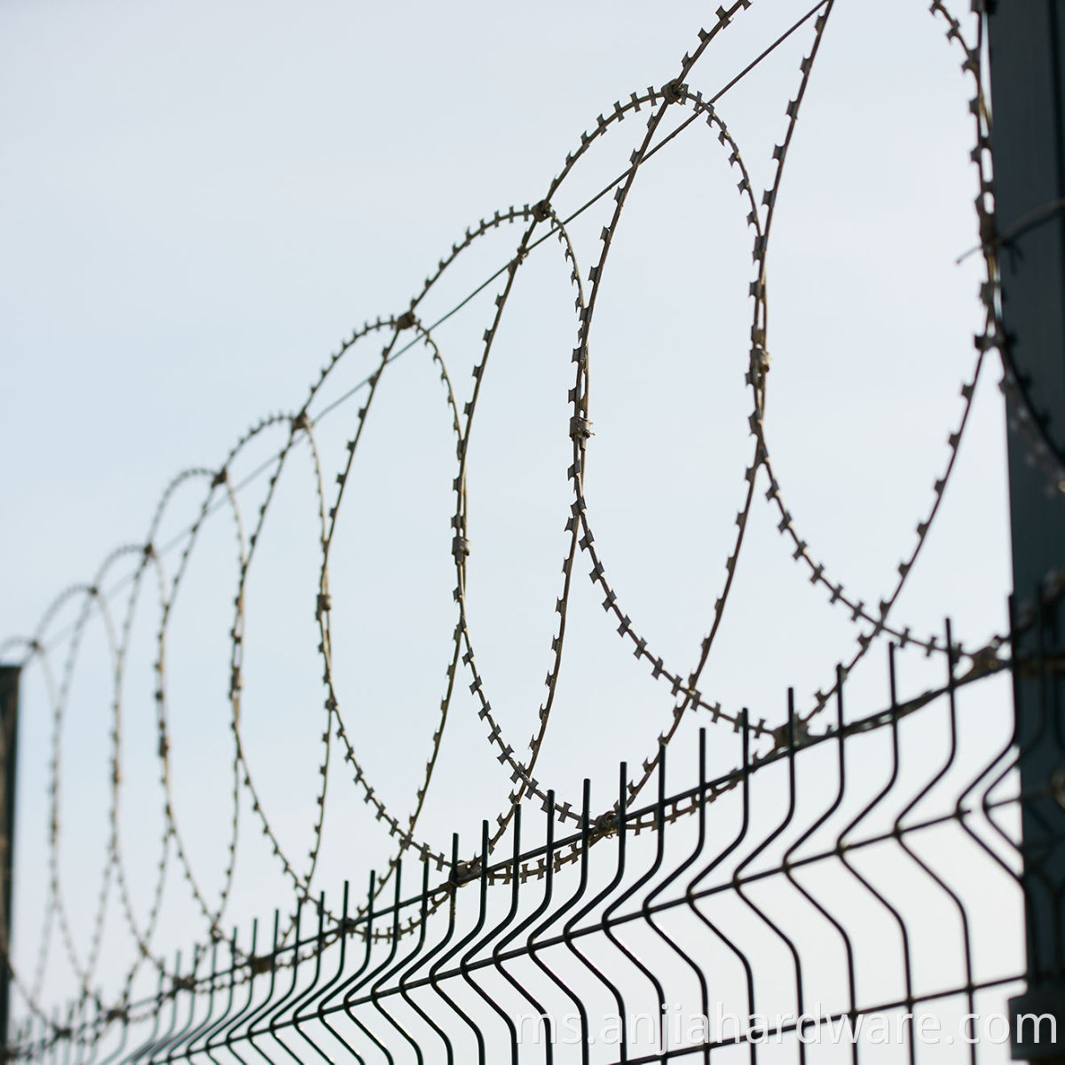 razor wire fence 